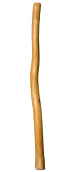 Natural Finish Didgeridoo (TW656)